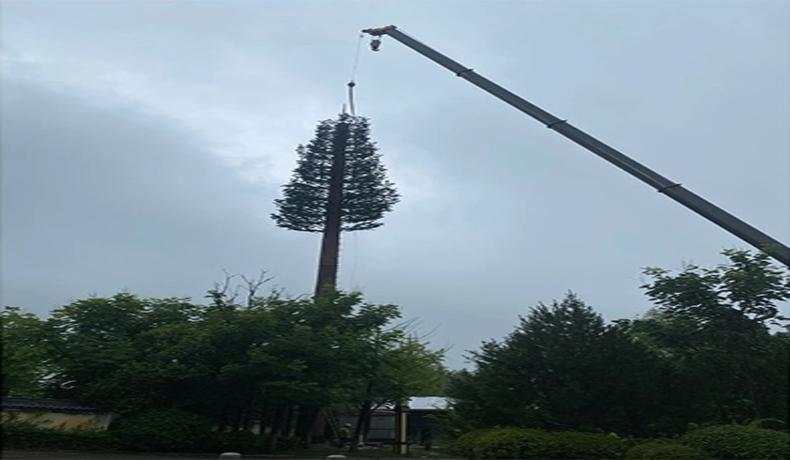 برج الاتصالات التمويه: المزايا الجمالية والوظيفية